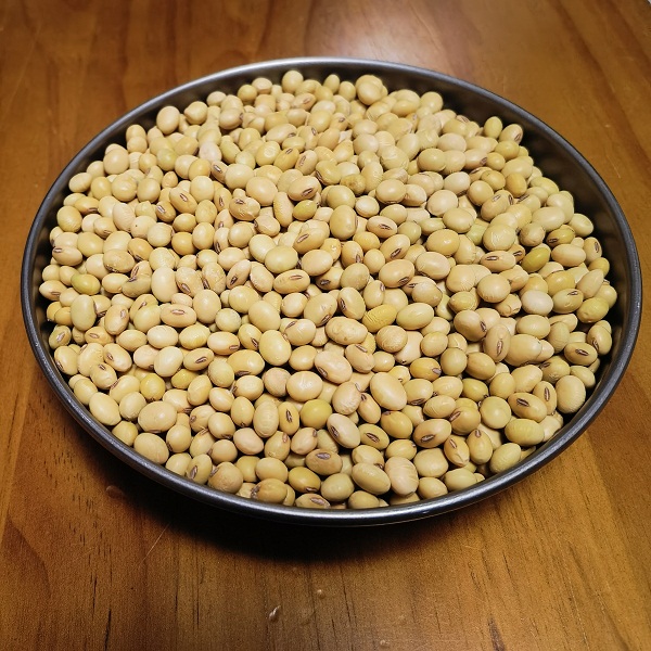 桃30园贵州生态黄豆6斤