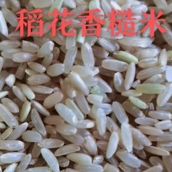  桃29园  生态稻花香糙米10斤