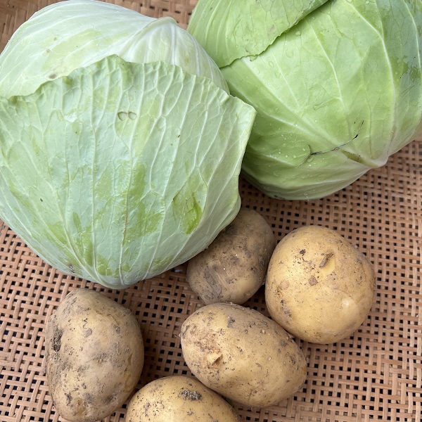 （特价）湖南乐永坊生态包菜+土豆4.7斤（包含土豆/包菜2种）