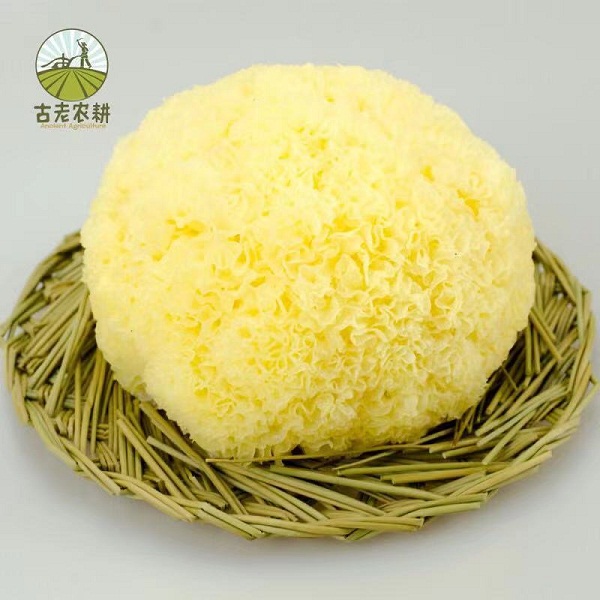 桃65园   银耳干（白木耳）40斤