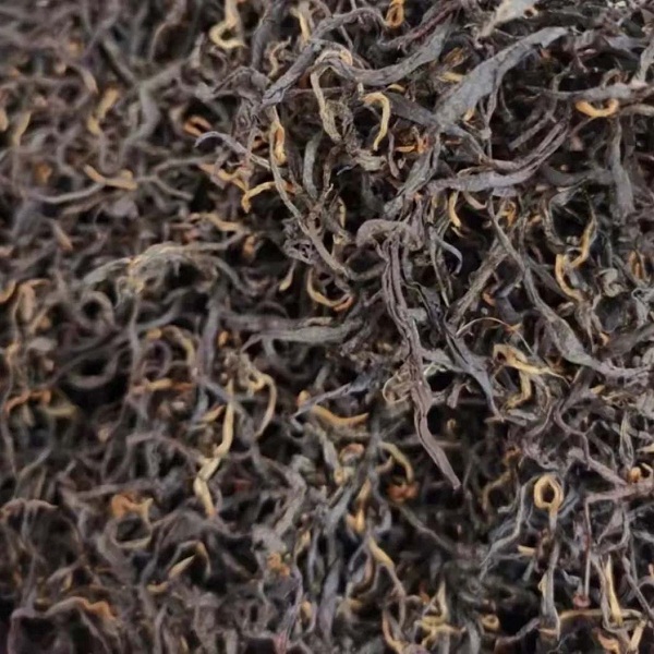 贵州镇远荒野红茶