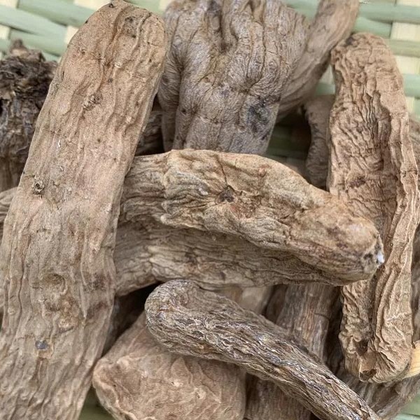 东北长白山野生天麻1斤