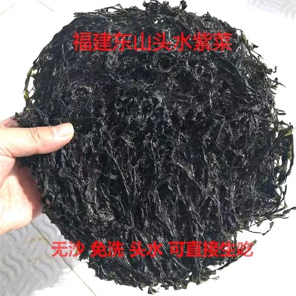 福建东山深海头水紫菜1斤（2025年新品头水）