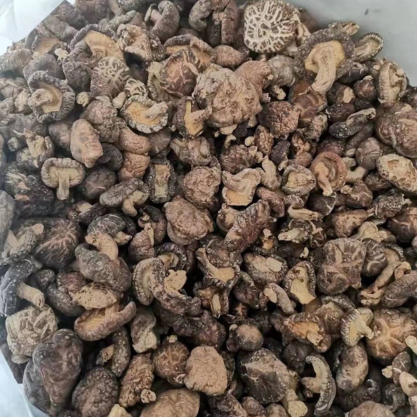 秦岭椴木香菇1斤