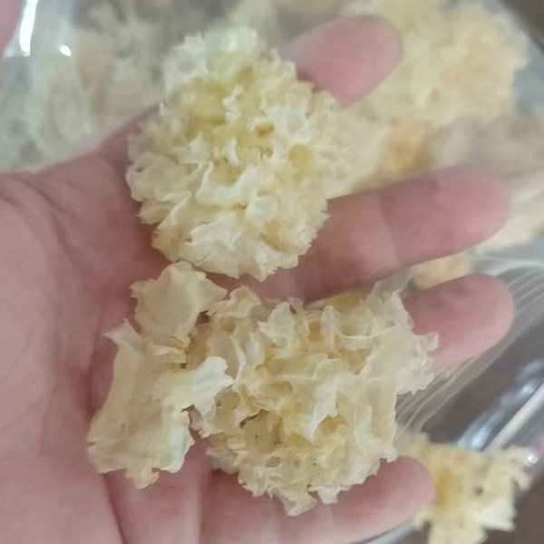 秦巴山椴木银耳半斤