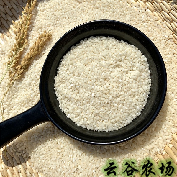桃122园 上海云谷农场清香软粳精白米5斤