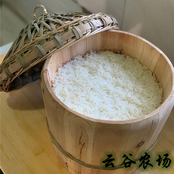 桃122园 上海云谷农场金叉糯米5斤