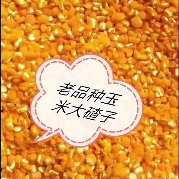 生态老品种玉米大碴子5斤（黄色大粒）