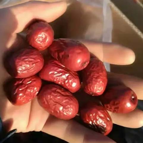 新疆阿慕生态农庄吊干灰枣（珍品， 3斤/件）
